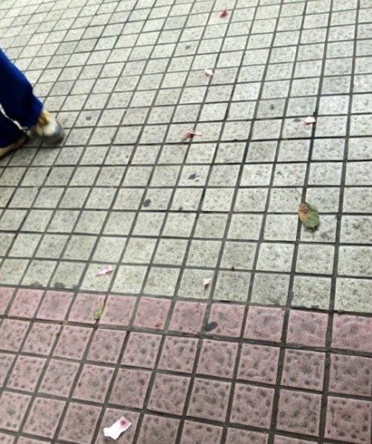 Ӿܽ4Ԫͣ܇(ch)M(fi)ŭⱣ (dng)˺ԪnƱ