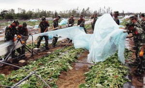 廣西貨船在三亞被“海燕”吹入大海6船員遇難(圖)