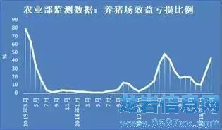 豬價只跌不漲的原因,現在終于知道啦!