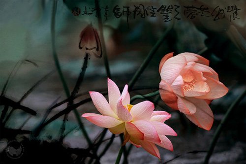 佩妮10—12月星運勢