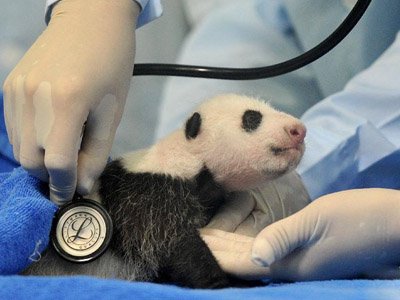 12星座一周健康運0929-1005