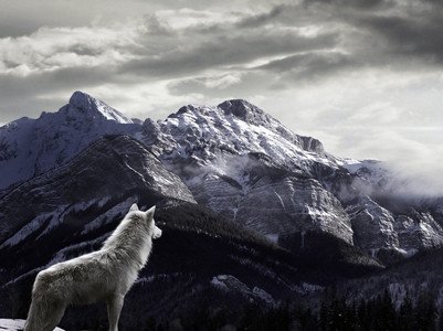 殺破狼一周星座運勢