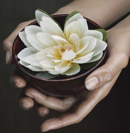 教你情侶用品使用法