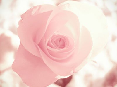 看金星了解你情愛觀